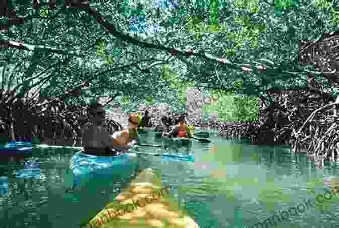 A Group Of People Kayaking Through A Mangrove Forest In The Florida Keys Showdown In The Keys: A Logan Dodge Adventure (Florida Keys Adventure 10)