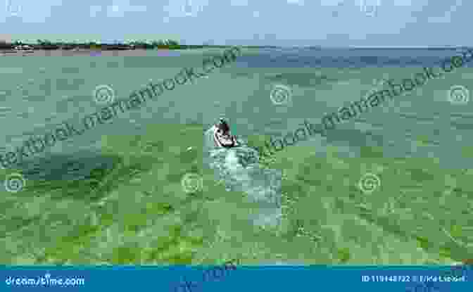 A Person Jet Skiing In The Florida Keys, Surrounded By Crystal Clear Waters And A Backdrop Of Lush Mangroves. Legend In The Keys: A Logan Dodge Adventure (Florida Keys Adventure 8)