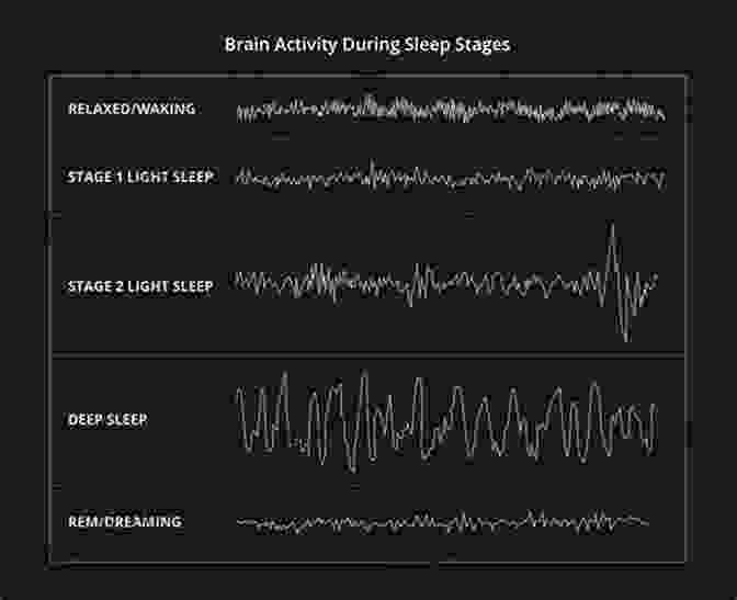 Diagram Of A Person Sleeping, With Brain Activity Represented Accelerated Learning Techniques: Effective And Unknown Methods To Improve Memory Learn Faster And Develop Critical Thinking In 4 Weeks Or Less