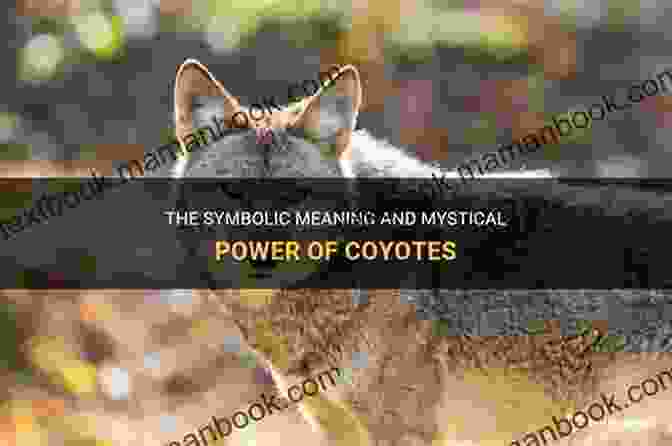 Mystical Coyote Spirit Appearing In A Crazy Man Story The Trail To Crazy Man: Stories