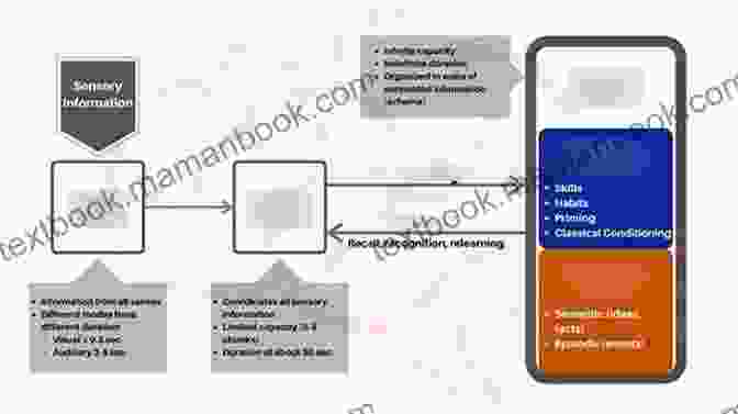 Retrieval Practice Diagram Showing Testing Oneself On Information Accelerated Learning Techniques: Effective And Unknown Methods To Improve Memory Learn Faster And Develop Critical Thinking In 4 Weeks Or Less