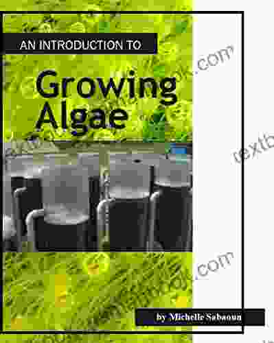 An Introduction To Growing Algae