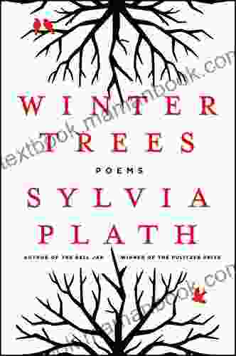 Winter Trees Sylvia Plath